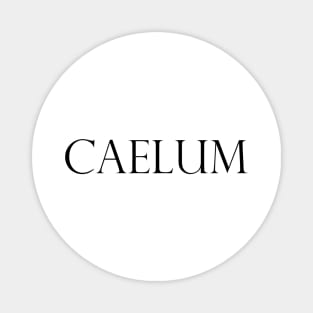 CAELUM Magnet